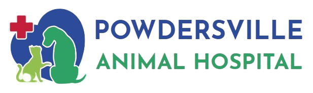 Euthanasia Services Powdersville Animal Hospital
