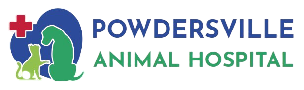 Animal Hospital in Piedmont, SC | Powdersville Animal Hospital